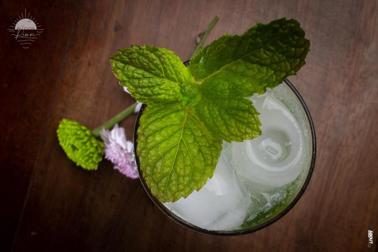Pousada Praia João Fernandes Búzios Exterior foto Mint leaves in a drink